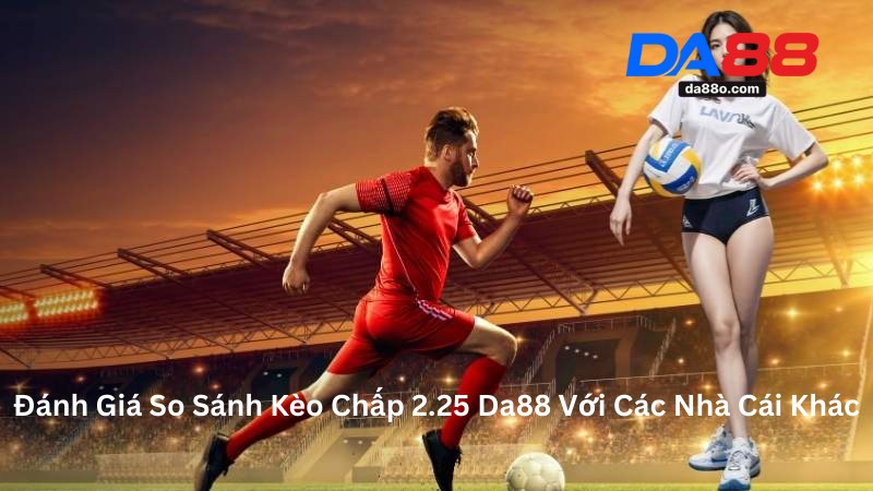 Cược Thẻ Phạt Bóng Đá - Hiểu Đúng Chơi Chuẩn Cùng Da88