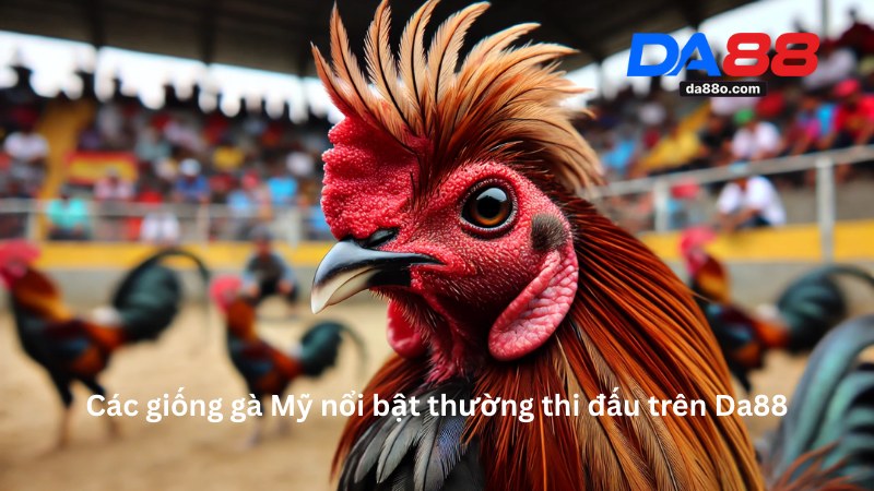 Đá Gà Mỹ Da88 - Trải Nghiệm Cá Cược Uy Tín Năm 2026