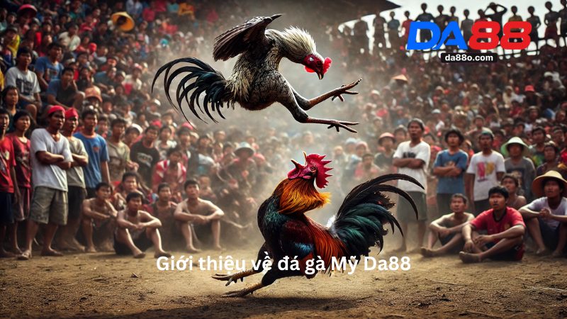 Đá Gà Mỹ Da88 - Trải Nghiệm Cá Cược Uy Tín Năm 2026