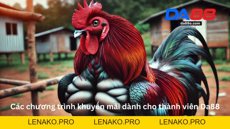 Đá Gà Thomo Da88 - Trải Nghiệm Cá Cược Tại Sảnh Live HD