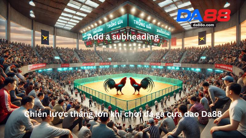 Đá Gà Cựa Dao Da88 - Trải Nghiệm Cá Cược Tại Sảnh Live HD