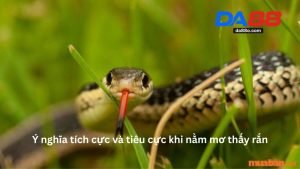 Xổ Số DA88 - Hướng Dẫn Toàn Diện Cho Người Mới Tham Gia
